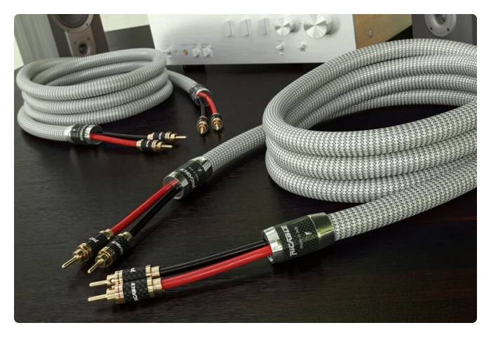 [RS2] Invictus - Speaker Reference MKll